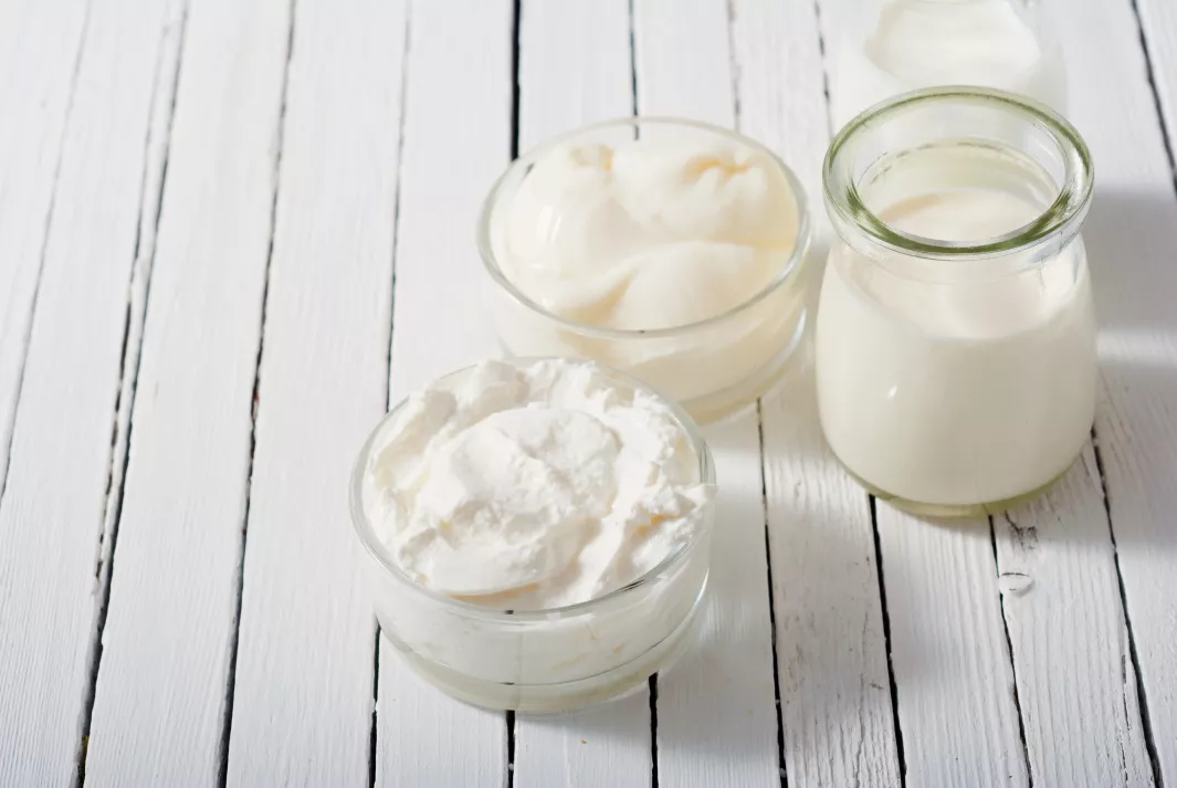 Navigating the Dairy Aisle: The Differences between Crème Fraîche, Sour